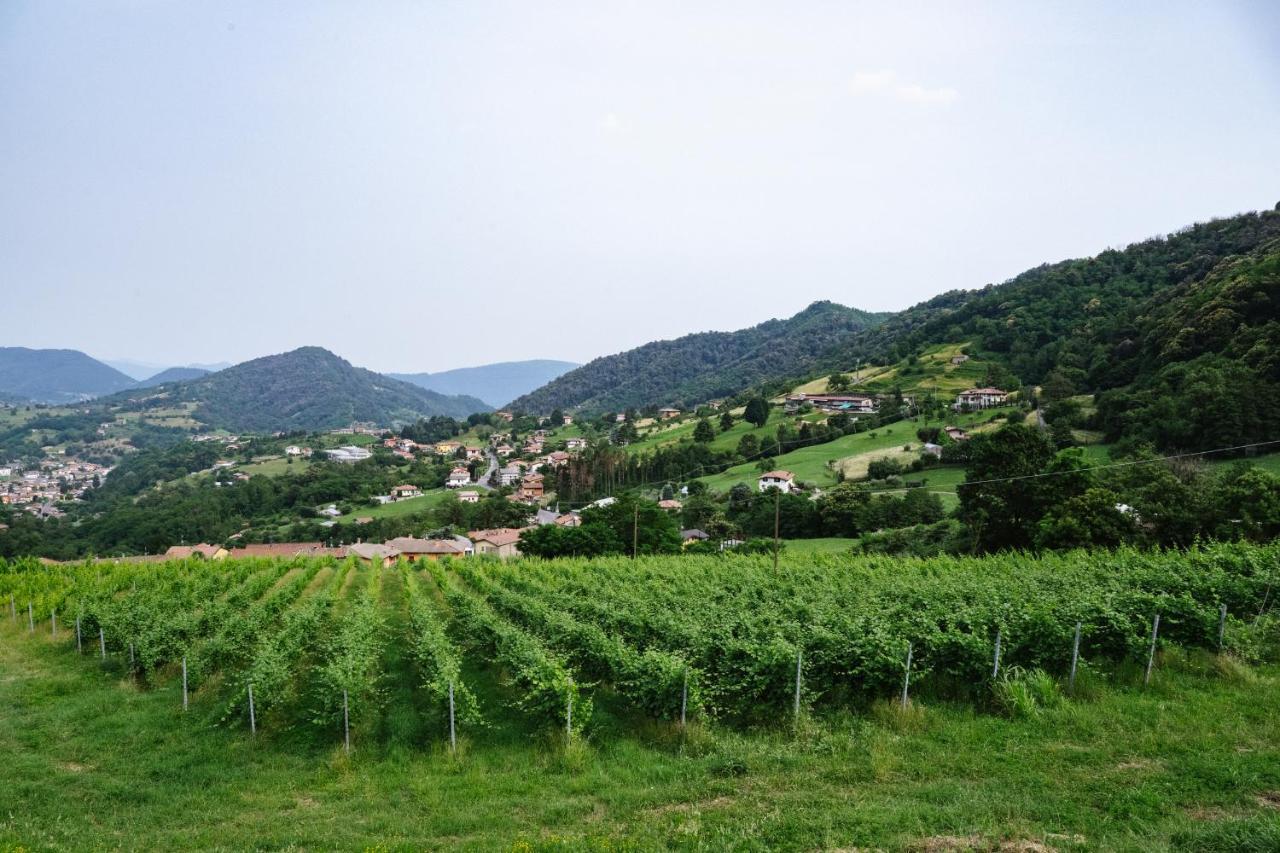 Agriturismo Podere Cavaga Lago d'Iseo Agribio Winery Foresto Sparso Esterno foto